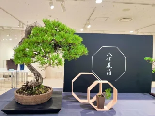楽焼茶碗 | 八宝茶箱